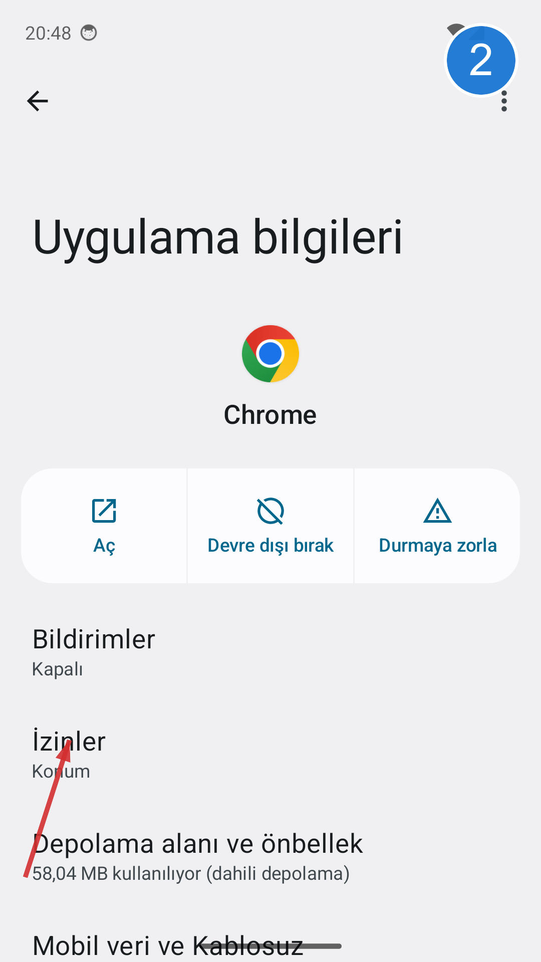 Uygulama bilgi ekranı İzinler satırı