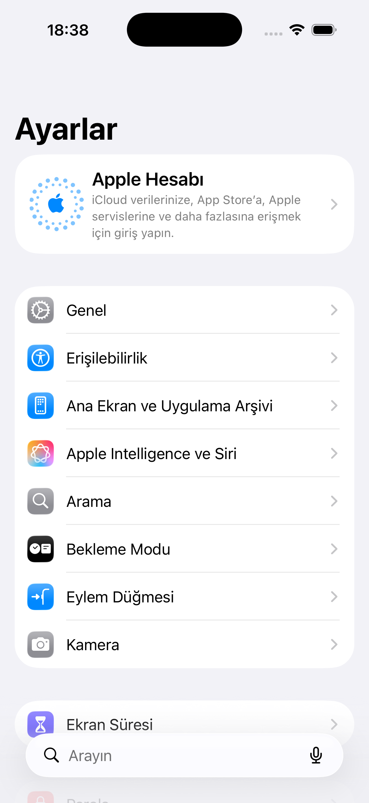 iPhone Ayarlar ana ekranı