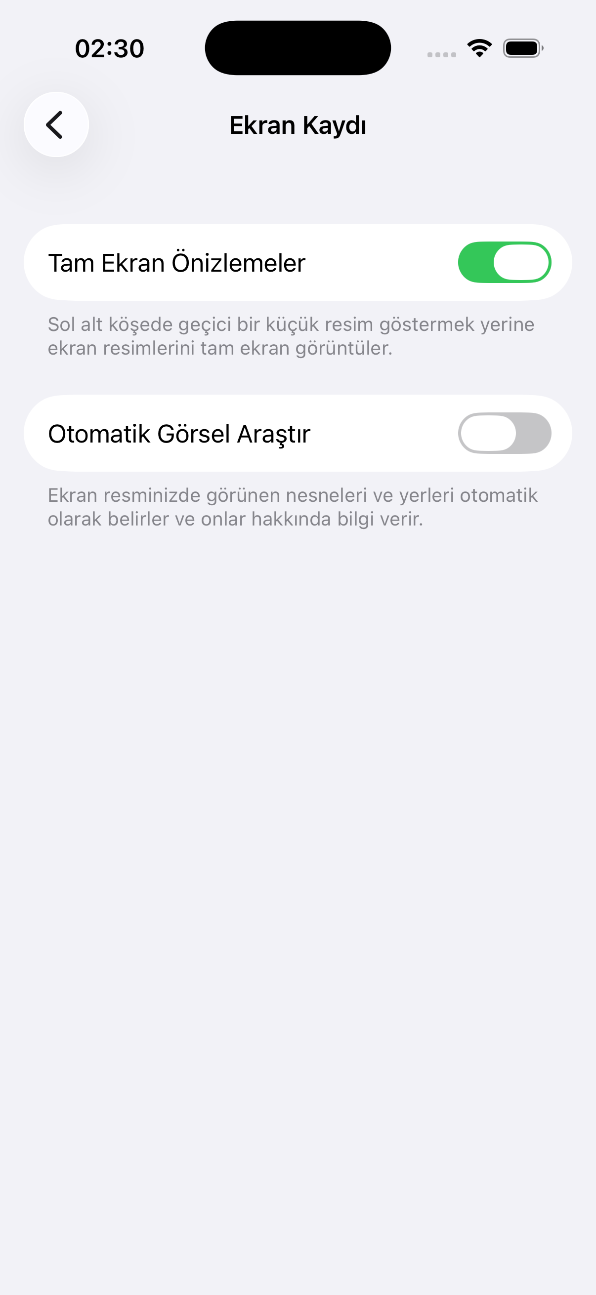 iOS 26'da Ayarlar Genel Ekran Kaydı paneli: Tam Ekran Önizlemeler anahtarı açık, Otomatik Görsel Araştır anahtarı kapalı