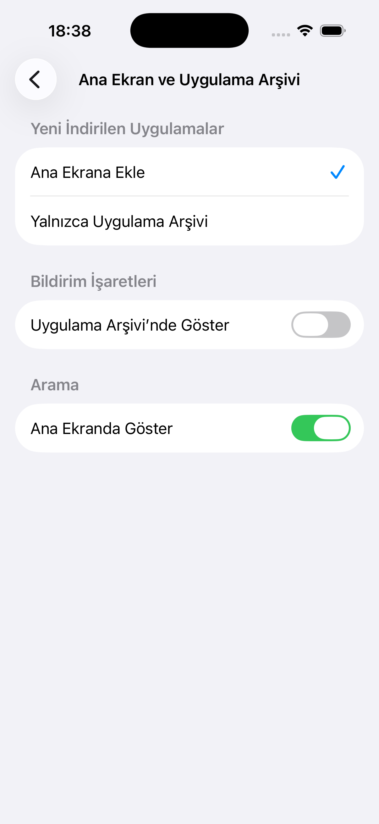 iPhone Ana Ekran ve Uygulama Arşivi ayarları