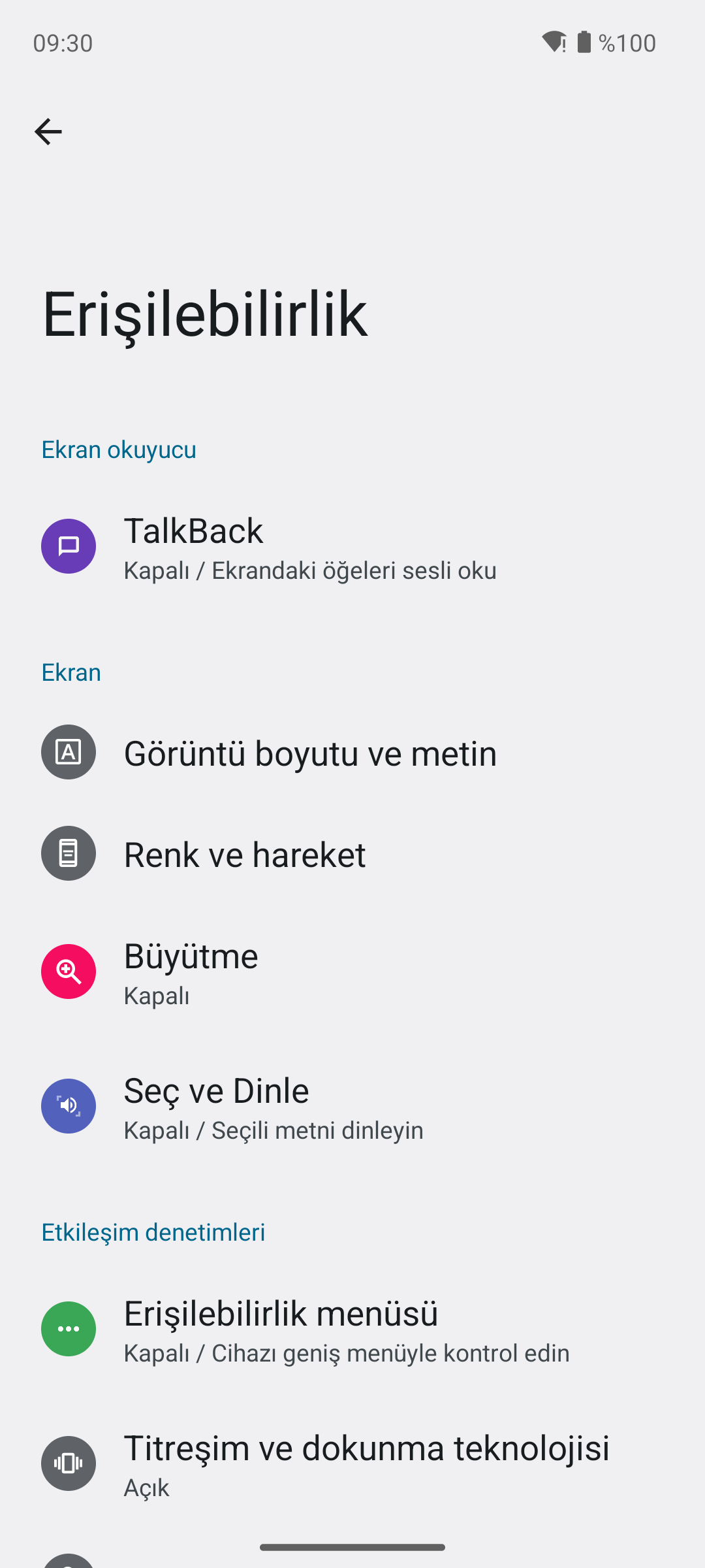Android Erişilebilirlik ayarları ekranı