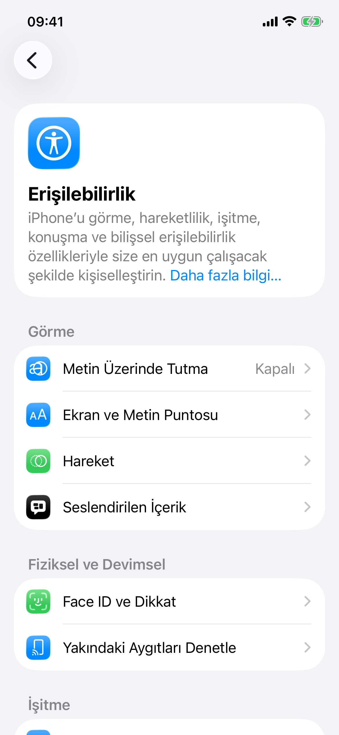 iPhone Erişilebilirlik ayarları ekranı